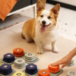 4 Colors Pet Communication Button One-click Prevent Physical Inactivity Recordable Dog Talking Button Toy Cat Toy Pet Products - Image 6