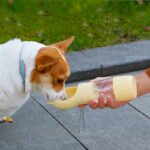 2 In 1 Portable Dog Water Bottle For Small Big Dogs Cat Outdoor Leak-proof Puppy Drinking Bowl With Food Container Pets Feeder Pet Products - Image 8