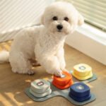 4 Colors Pet Communication Button One-click Prevent Physical Inactivity Recordable Dog Talking Button Toy Cat Toy Pet Products - Image 5