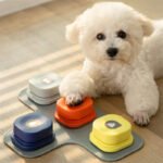 4 Colors Pet Communication Button One-click Prevent Physical Inactivity Recordable Dog Talking Button Toy Cat Toy Pet Products - Image 9